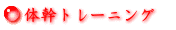 体幹トレーニング